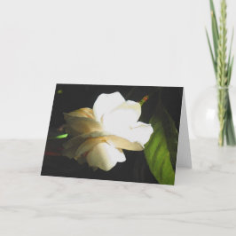 Cartão Wedding Fragrant Ivory Gardenia Blossom