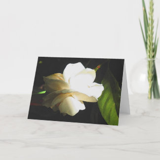 Cartão Wedding Fragrant Ivory Gardenia Blossom