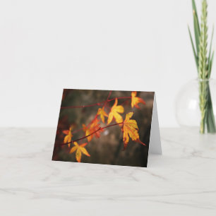 Cartão Weeping Autumn Note Card