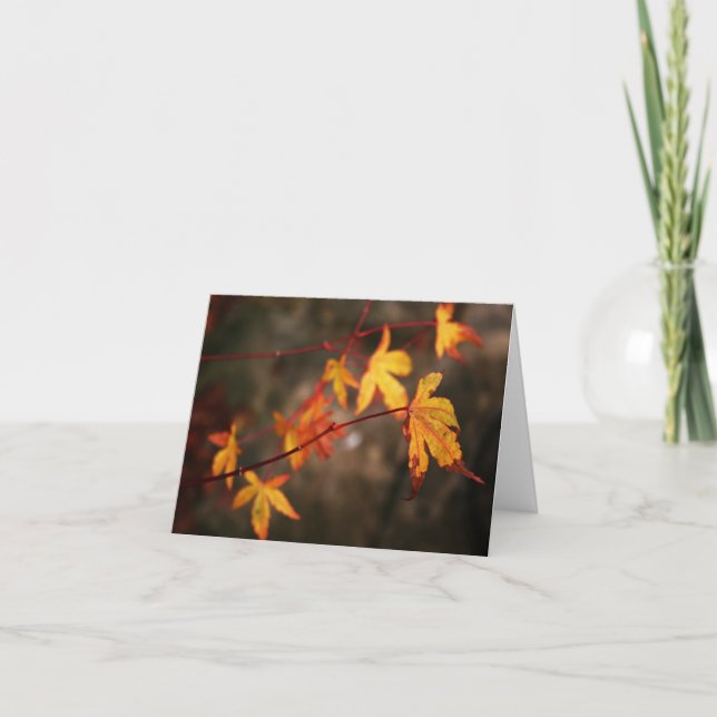 Cartão Weeping Autumn Note Card (Frente)