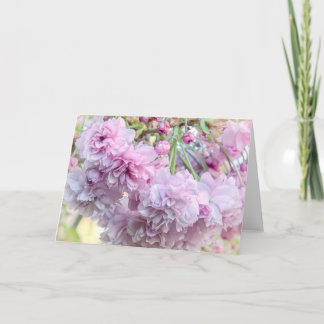 Cartão Weeping cherry blossom card