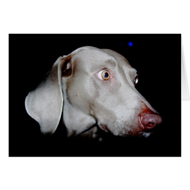 Cartão Weimaraner - A Cinza Fantasma (Frente Horizontal)