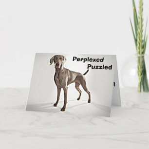 CARTÃO WEIMARANER É PERPLEXADO/PUZZLED U R 40!