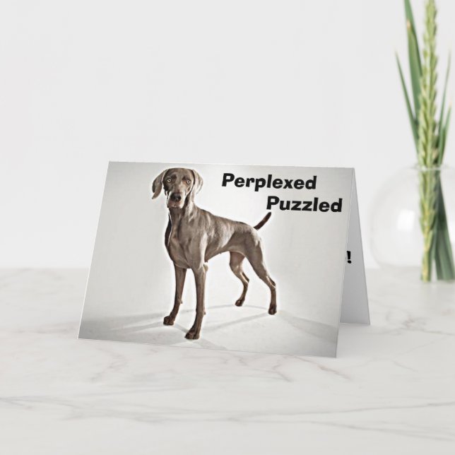 CARTÃO WEIMARANER É PERPLEXADO/PUZZLED U R 40! (Frente)