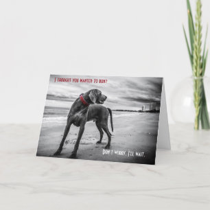 Cartão Weimaraner funny birthday card