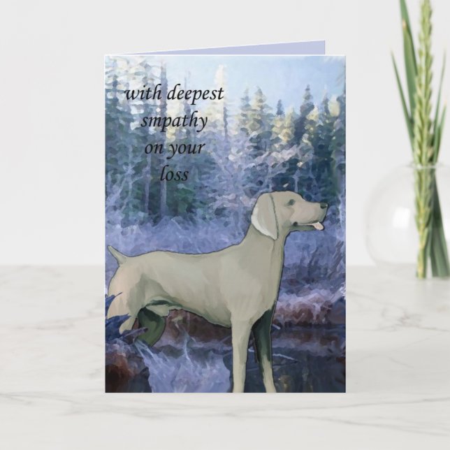 Cartão weimaraner_sympathy_card (Frente)