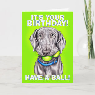 Cartão Weimaraner tem uma bola
