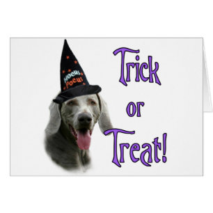 Cartão Weimaraner Trick