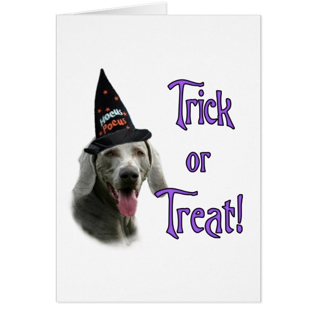 Cartão Weimaraner Trick (Frente)
