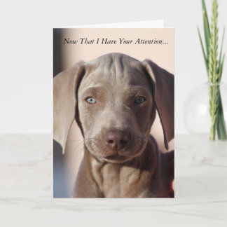 Cartão Weimaraner "You Are The Best" Greeting Card