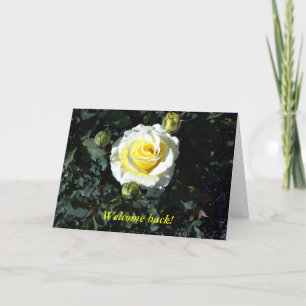 Cartão Welcome Back Card with Yellow Roses