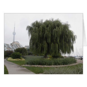 Cartão Welow Willow Toronto BIG