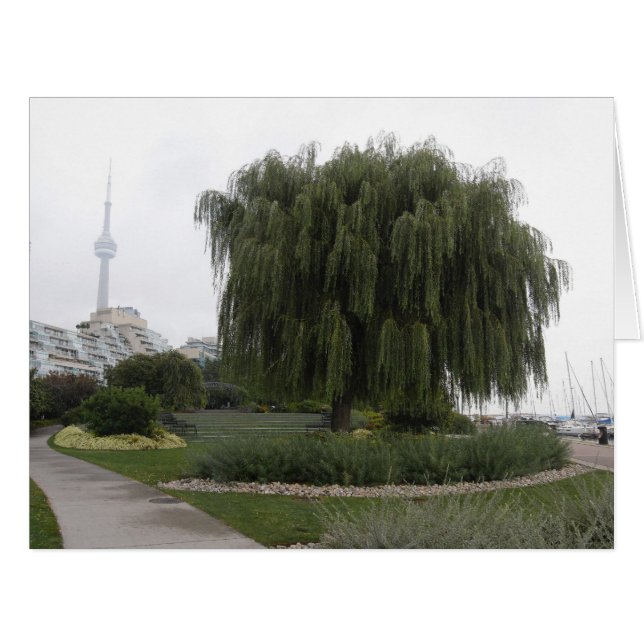 Cartão Welow Willow Toronto BIG (Frente horizontal)