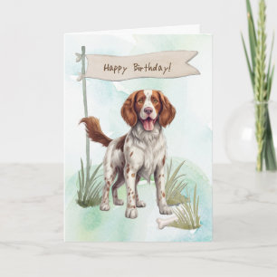 Cartão Welsh Springer Spaniel Dog Sob Sinal De Aniversári