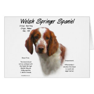 Cartão Welsh Springer Spaniel History Design