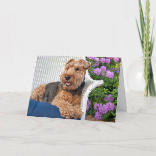 Cartão Welsh Terrier Birthday
