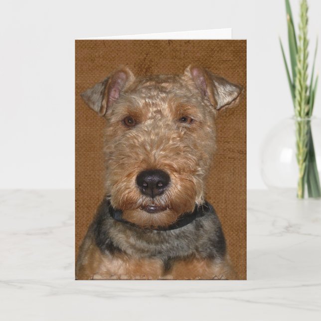 Cartão Welsh Terrier Birthday Humor (Frente)