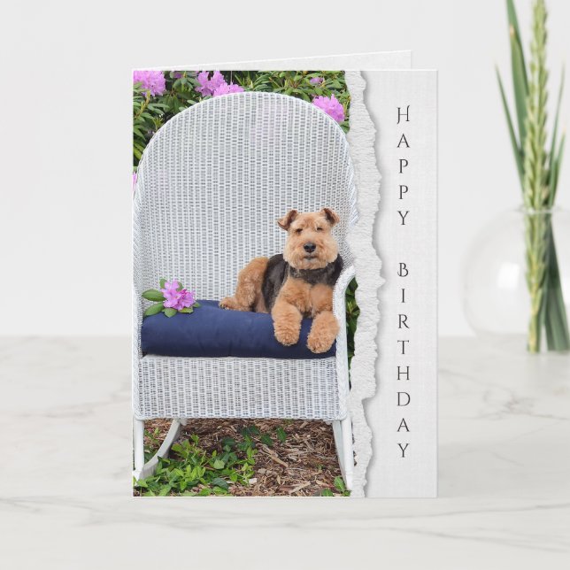 Cartão Welsh terrier em cadeira de aniversário (Frente)