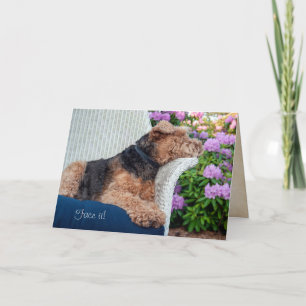 Cartão Welsh Terrier on wicker chair birthday
