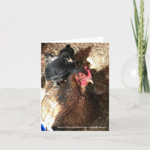 Cartão Welverão Hen com Pintinhos Maran