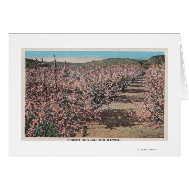 Cartão Wenatchee, WAView of Apple Trees in Blossom (Frente Horizontal)