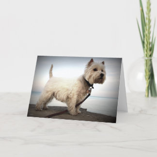Cartão West Highland Terrier Card