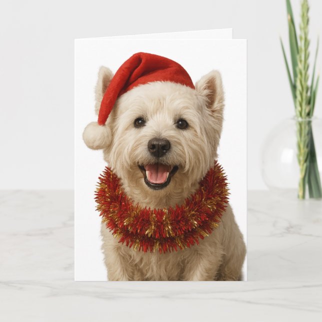Cartão West Highland Terrier Christmas card (Frente)