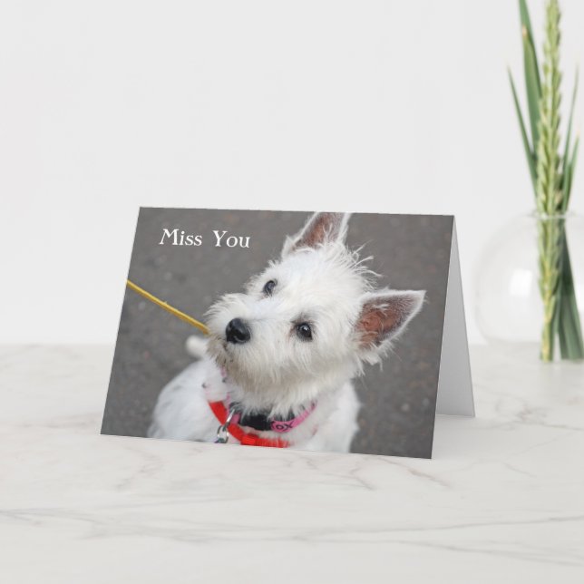 Cartão west highland terrier dog miss you card (Frente)