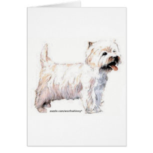 Cartão West Highland White Terriers