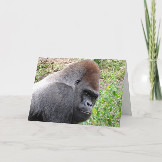 Cartão Western Lowland Gorilla Greeting Card (Frente)