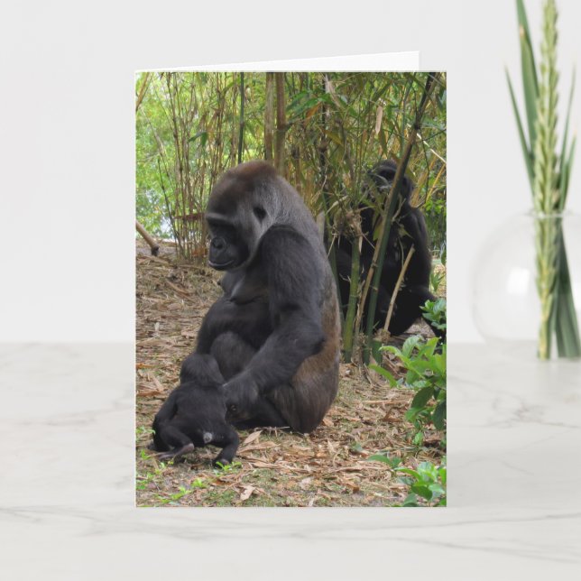 Cartão Western Lowland Gorilla - Mãe e Bebê (Frente)