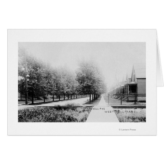 Cartão Western View da Avenida Parnell (Frente Horizontal)