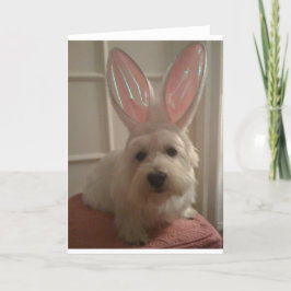 Cartão Westhighland Bunny
