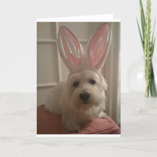 Cartão Westhighland Bunny