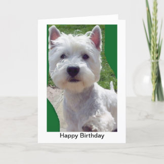 Cartão Westie Birthday Card Greetings Card paw up 'Hello'