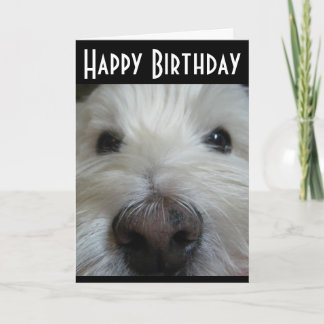 Cartão Westie Closeup Nose Photo Greeting Card