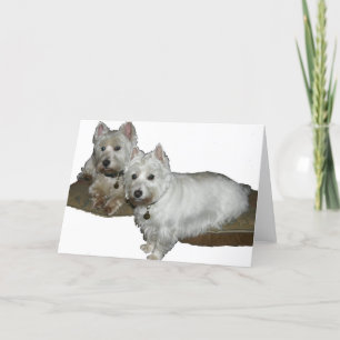 Cartão Westie Desi e Lucy