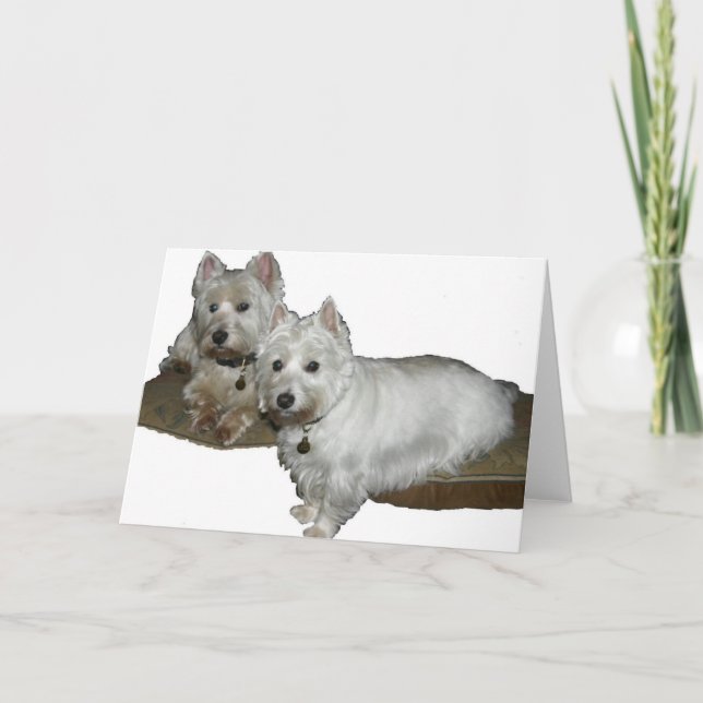 Cartão Westie Desi e Lucy (Frente)