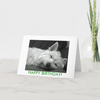 Cartão Westie Dog Birthday Card