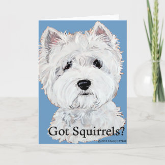 Cartão Westie Got Squirrels?