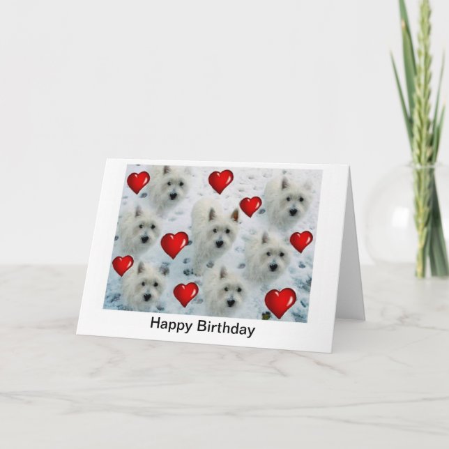 Cartão Westie Hearts Birthday Card (Frente)