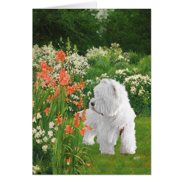 Cartão Westie no Jardim (Frente)