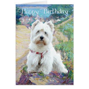 Cartão Westie no mar