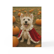 Westie Queen no Halloween
