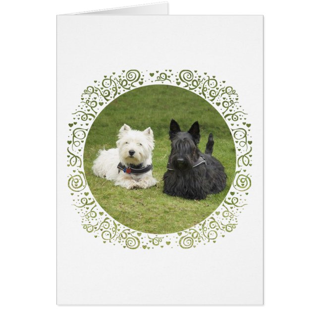 Cartão Westie & Scottie Grama Verde (Frente)