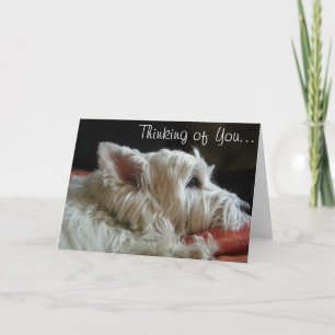 Cartão Westie Thinking of You Photo Greeting Card