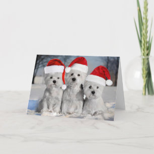 Cartão Westies In the Snow Holiday Card