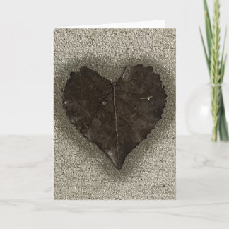 Cartão Wet Heart Shaped Leaf on Sidewalk Photo