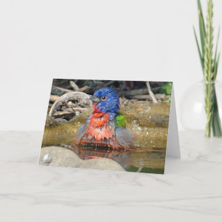 Cartão Wet Paint Card