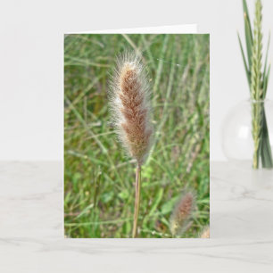 Cartão Wetland Grass Seedhead Note Card
